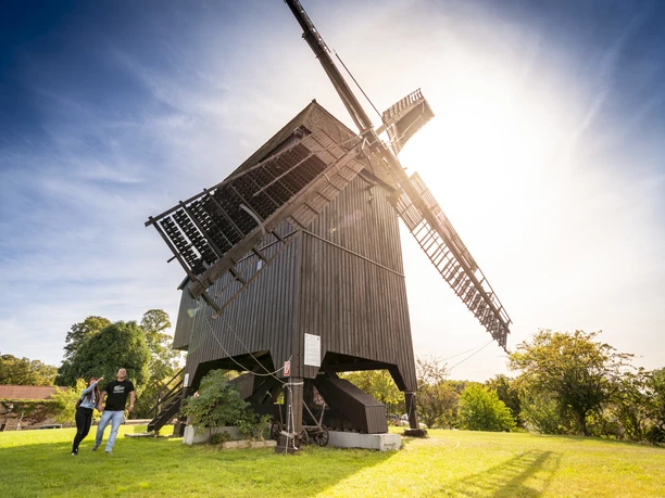 Bockwindmühle Werder (Havel)