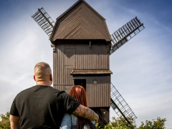 Blick auf Bockwindmühle Werder (Havel)