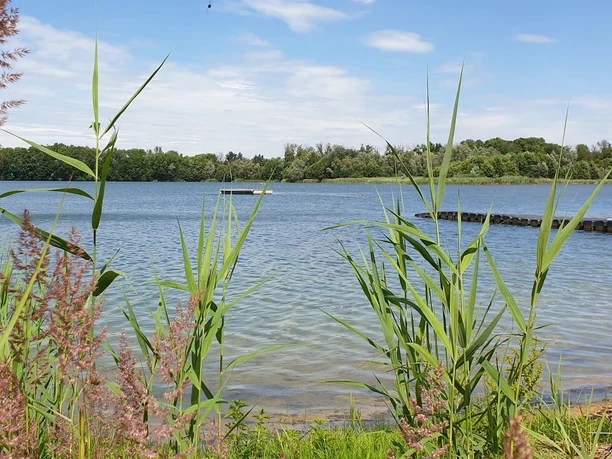 Strandbad am Baggersee Gusow