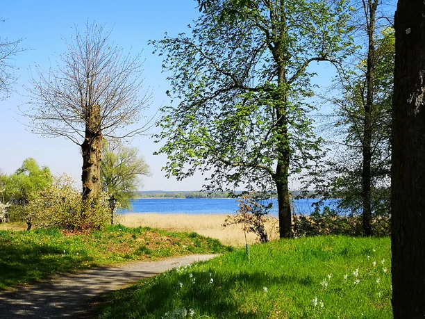Blick auf Schwielowsee vom Schlosspark Petzow