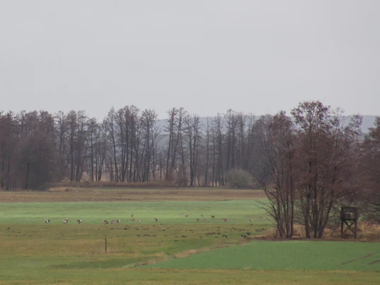 Blick vom Aussichtspunkt im Winter