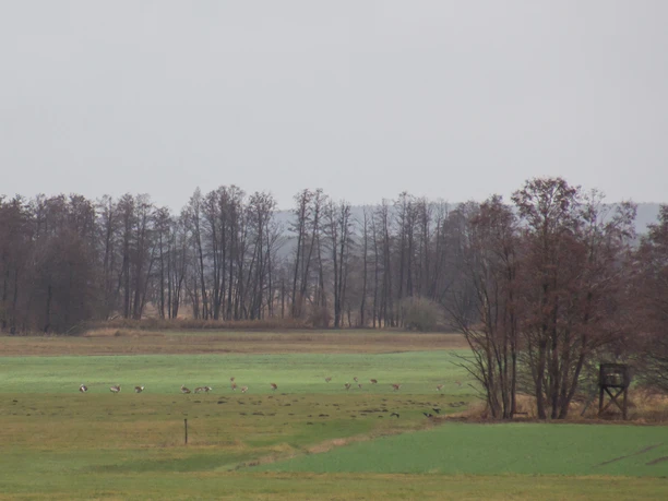 Blick vom Aussichtspunkt im Winter