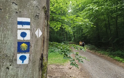 Unterwegs im Naturpark Barnim