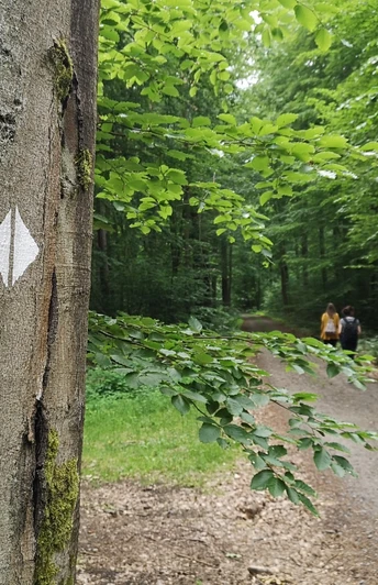 Unterwegs im Naturpark Barnim