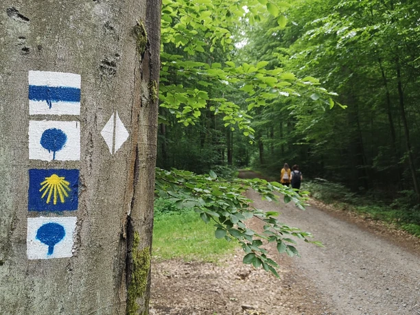 Unterwegs im Naturpark Barnim