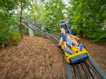 Scharmützelbob Ganzjahresrodelbahn