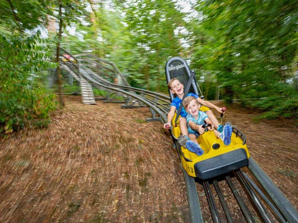 Scharmützelbob Ganzjahresrodelbahn