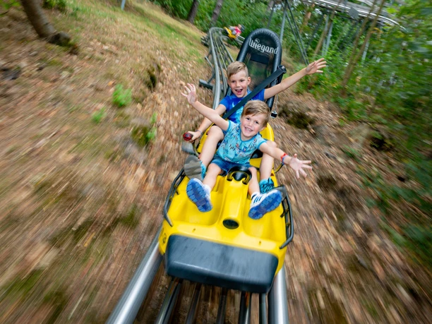Scharmützelbob Ganzjahresrodelbahn