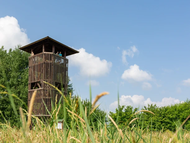 Aussichtsturm Selchow