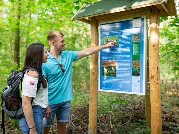 Naturlehrpfad Groß Schauen