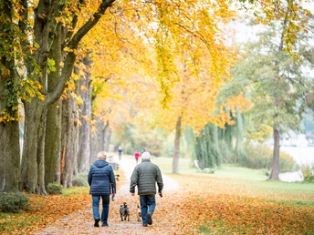 Wanderung am Scharmützelsee