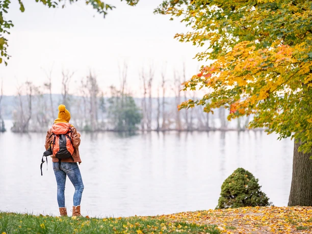 Wanderung am Scharmützelsee
