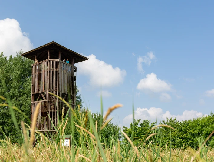 Aussichtstum in Groß Schauen