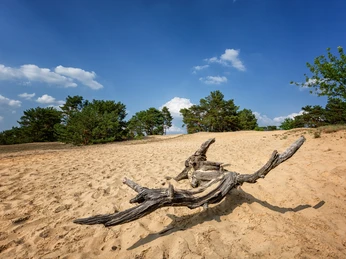 Binnendüne Waltersberge