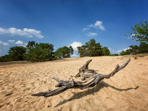 Binnendüne Waltersberge
