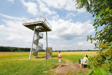 Aussichtsturm am Salzweg