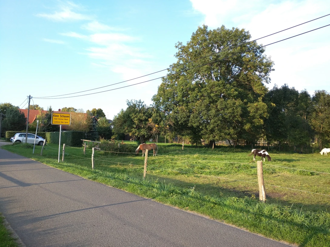 Pferdefreunde Klein Schauen