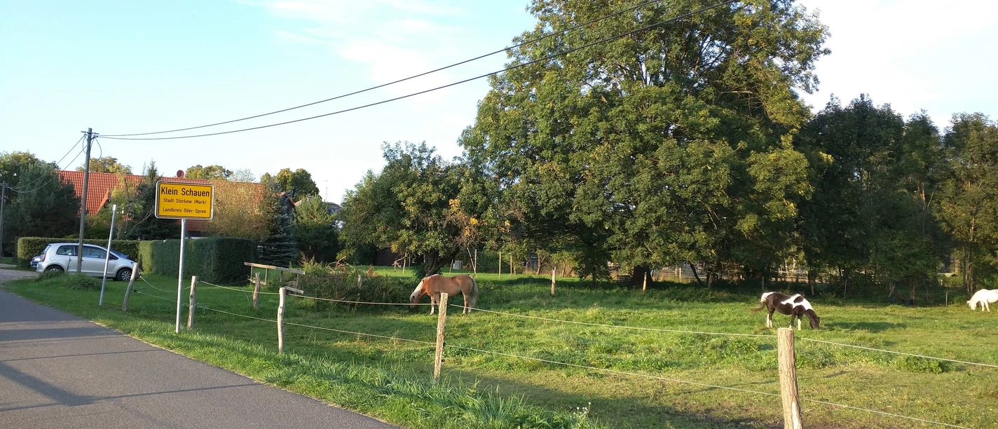 Pferdefreunde Klein Schauen