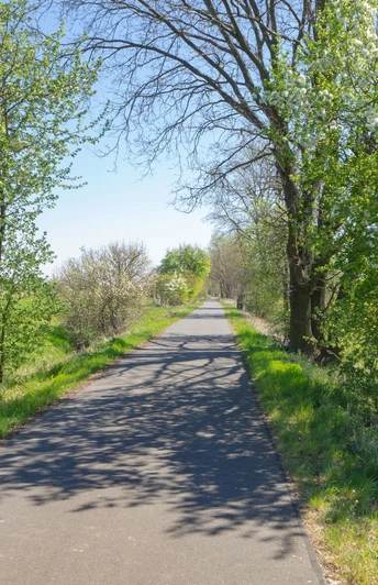 Oderbruchbahn-Radweg