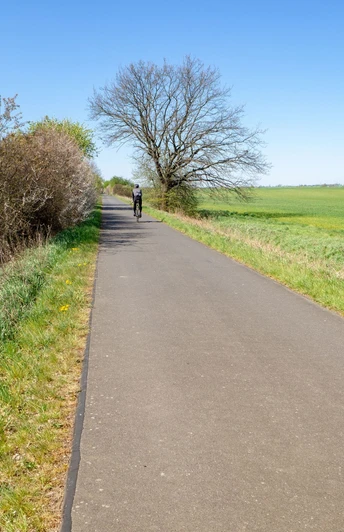 Oderbruchbahn-Radweg