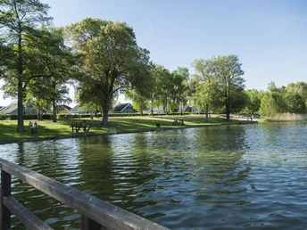 Uferwanderung am glitzernden Scharmützelsee