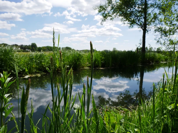 Wanderweg am Bretterschen Graben
