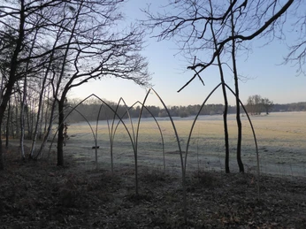 Wierichwiesen im Winter