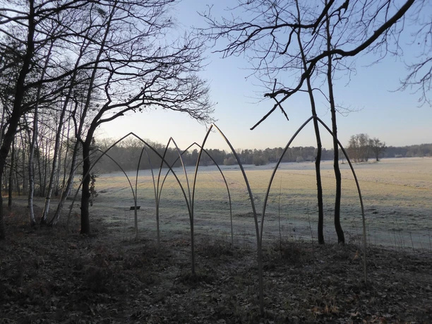 Wierichwiesen im Winter
