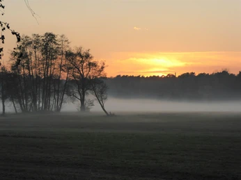 Sonnenuntergang in den Wierichwiesen