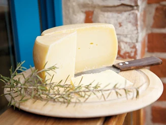 Käse vom Milchschafhof Pimpinelle in Quappendorf