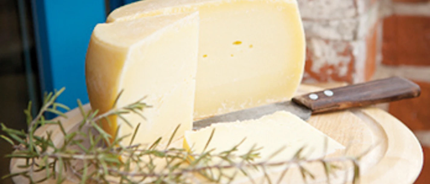 Käse vom Milchschafhof Pimpinelle in Quappendorf