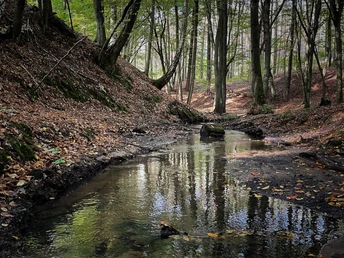 Planfließ-Rundwanderweg