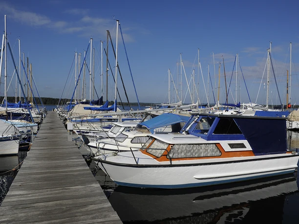 Yachtclub Diensdorf e.V. - äußerer linker Steg am Schilfgürtel