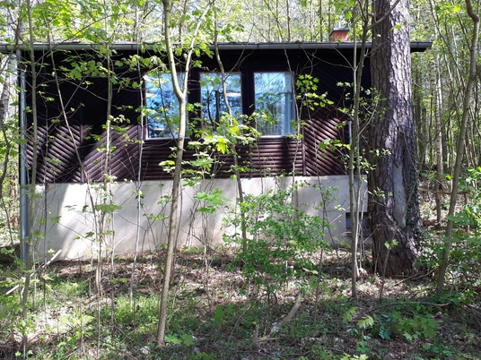 Waldhaus Wiesengrund