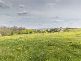 Oderhänge bei Lebus