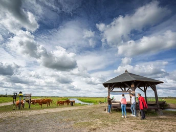 Naturpark Warthemündung Vogelroute
