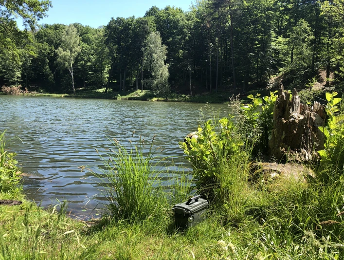 Outdoor-Escape-Spiel "Clara"