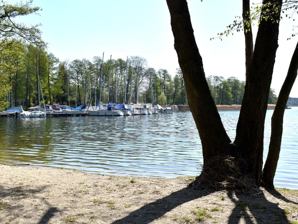 Seglerverein Ciconia