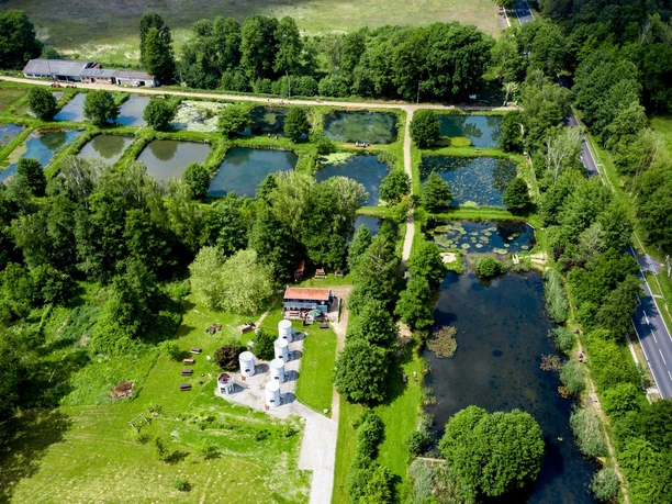 Hoteltürme am Forellenhof Rottstock