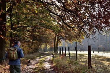 Storchenwanderweg Beetzsee