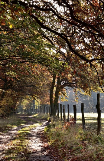 Storchenwanderweg Beetzsee