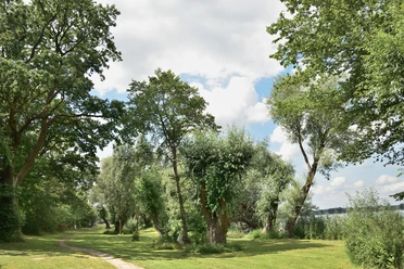 Seerundweg Hohennauener-Ferchesarer-See