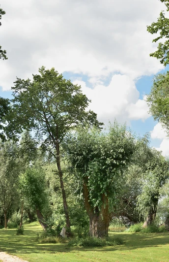 Seerundweg Hohennauener-Ferchesarer-See