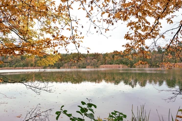 Steckelsdorfer See