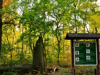 Hinweisschild Stadtforst