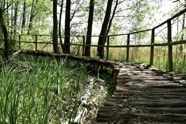Brücke im Gränert