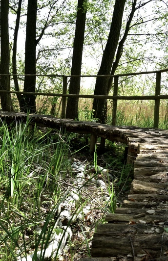 BrĂ¼cke im Gränert