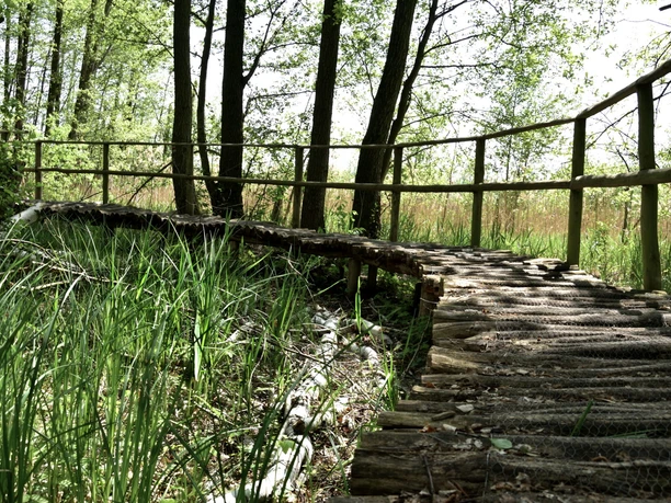 BrĂ¼cke im Gränert