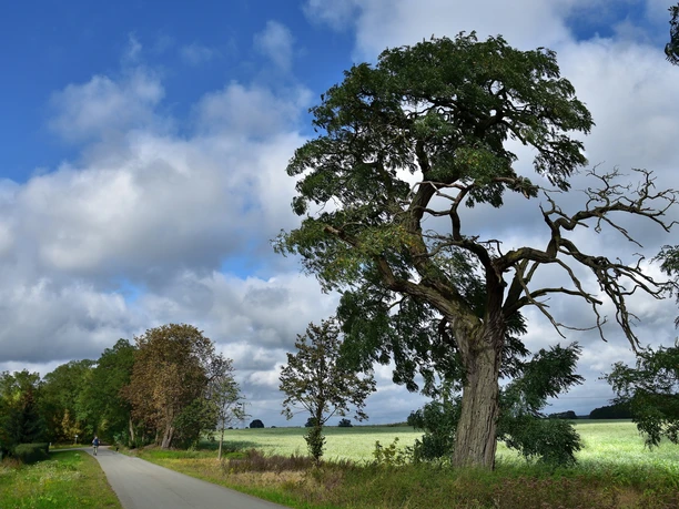 Wanderweg nach Krahne