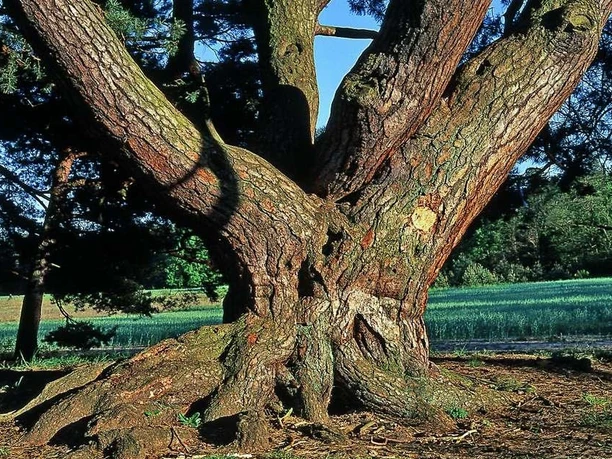 Naturpark Dahme-Heideseen